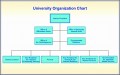 8  organizational Structure Chart