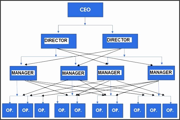 Organizational structure examples Functional