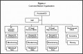 6  organizational Structures