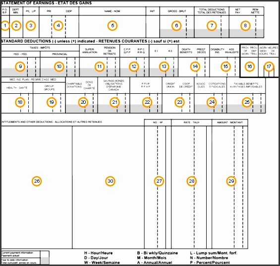Your Payment Statement Pay Stub Deposit Statement