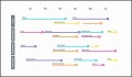 9  Powerpoint Gantt Chart