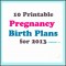 6  Printable Birth Plan Template