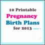 6  Printable Birth Plan Template