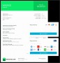 6  Professional Invoice