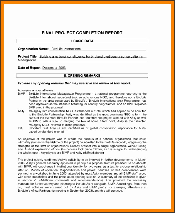 project pletion report Software Project pletion Report Sample