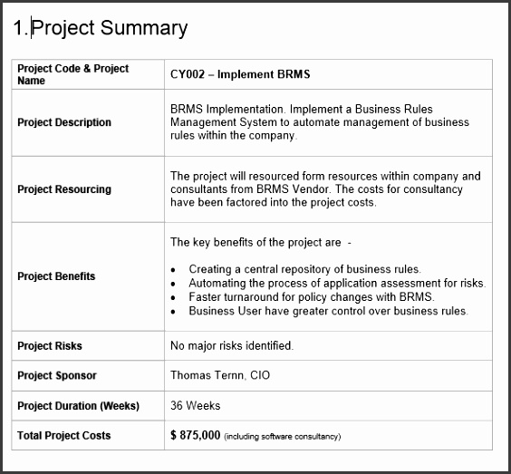 Software Business Proposal Template Project Proposal Template Free Project Management Templates Download