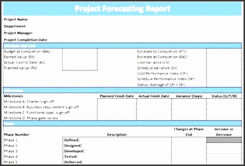 6 Project Reporting Template Excel