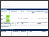 Project Status Report Template Summary