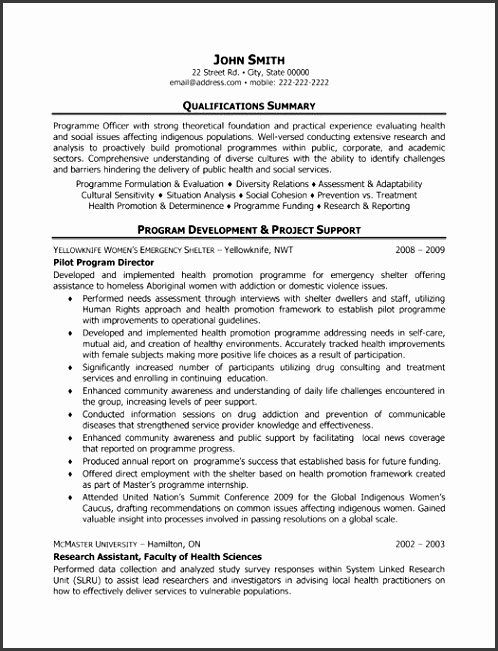 Here to Download this Pilot Program Director Resume Template project summary template