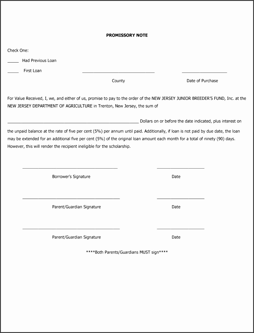Promissory Note Template Free Sample Promissory Note Format for Loan