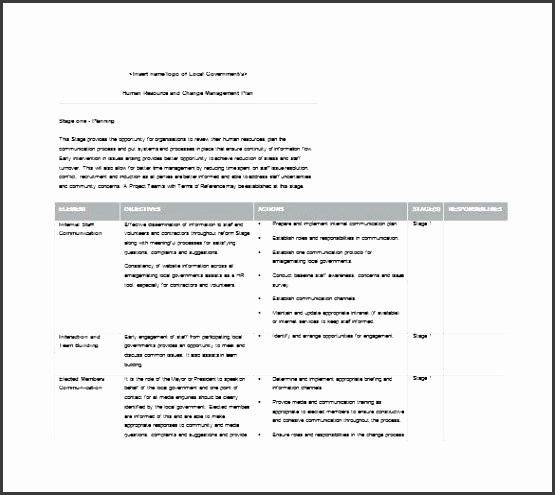 management plan template human resources change management plan example word free risk management plan templates