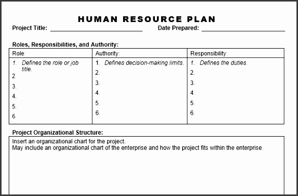 Human Resource Plan Template