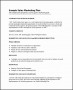 6  Sales and Marketing Plan Template