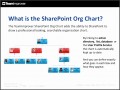 5  Sharepoint org Chart
