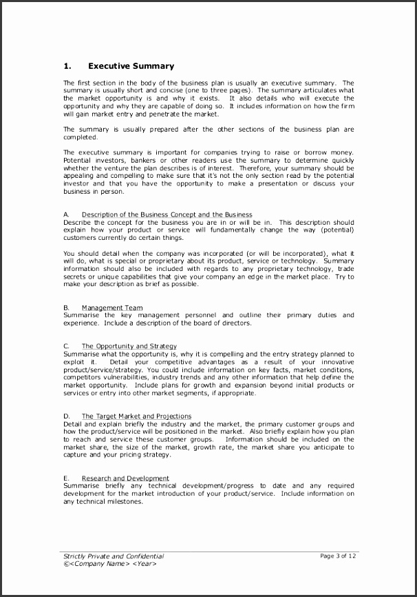Startup Business Plan Template 2