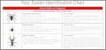 6 Spider Chart Template