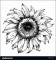 7  Sunflower Black and White Template