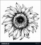 7  Sunflower Black and White Template