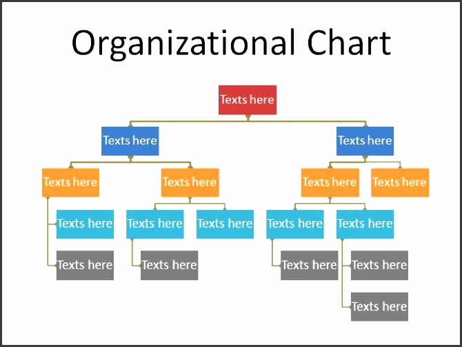 Printable Organizational Chart Template 19