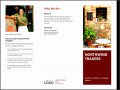 5  Tri Fold Brochure Templates