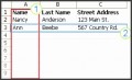 8  Wedding Address Label Template Excel