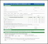 6  5 Year Life Plan Template