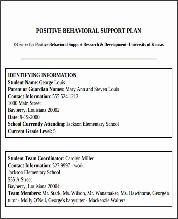 Positive Behavior Intervention Plan Sample