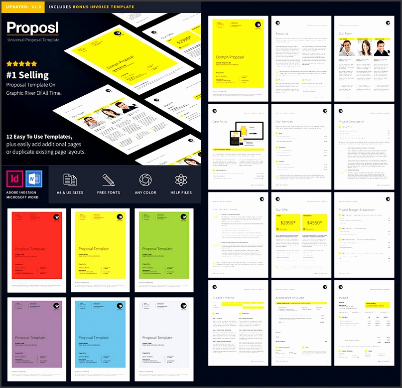 Professional Business Proposal Template Design