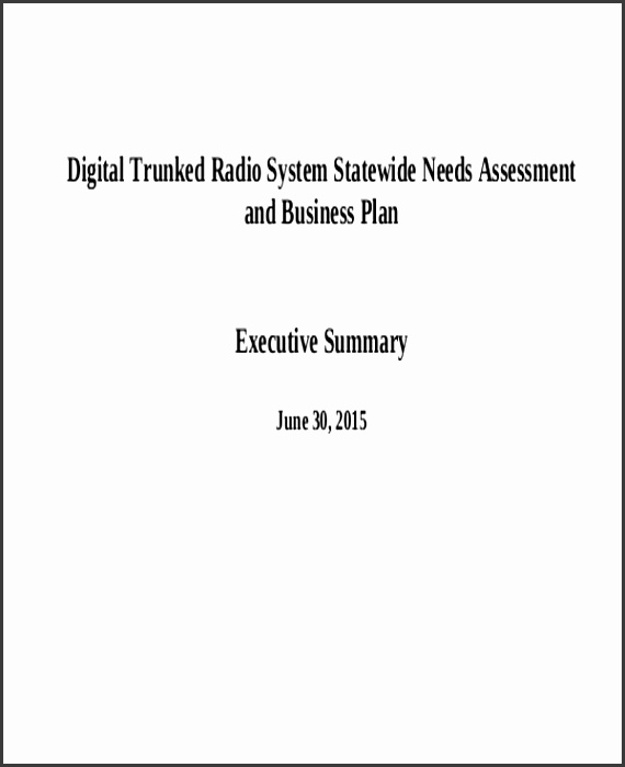 32 Free Needs Assessment Templates bpuet Business Plan Needs Assessment