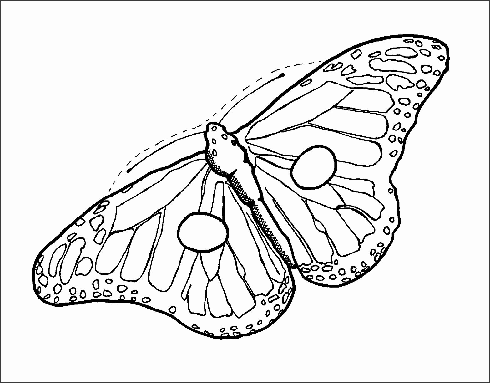 Monarch Butterfly clipart template 9