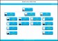 6  Company organizational Chart Template