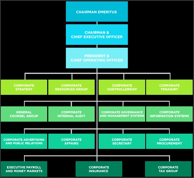 Organizational Structure JG Summit Holdings Inc