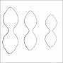 6  Daisy Flower Petal Template