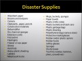 10  Disaster Preparedness Plan Template