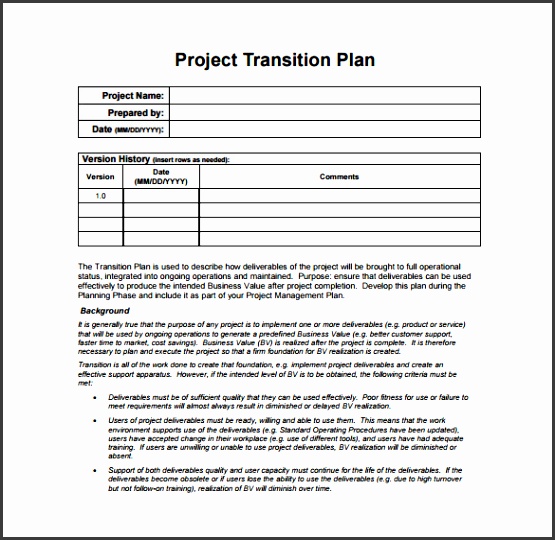 Project Transition Plan PDF Template Free Download