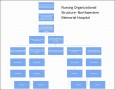 9  Hospital organizational Chart