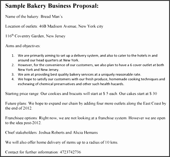 Business Proposal Template