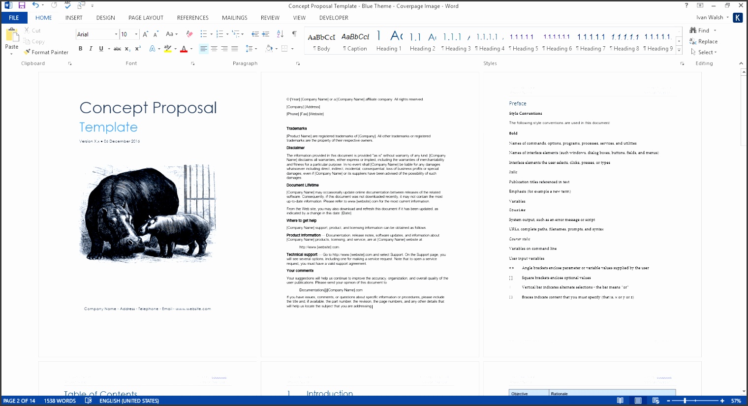 concept proposal ms word template 1