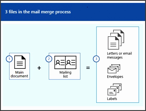 Three files in the mail merge process which is a main document plus a mailing