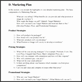 Business Plan