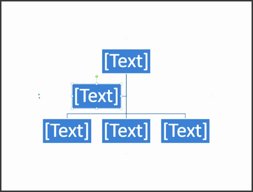 Organization Chart
