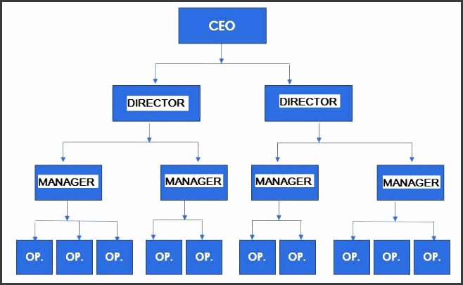 Small business organizational structure examples Inline functional and staff aligned structures