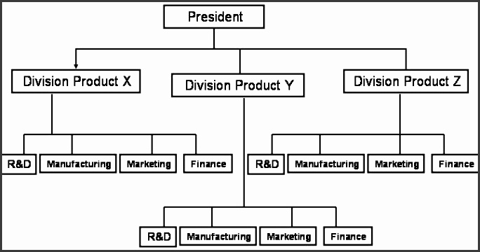 Organization Structure2