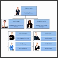 Organizational Chart Example