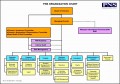 8  organizational Chart Of A Company