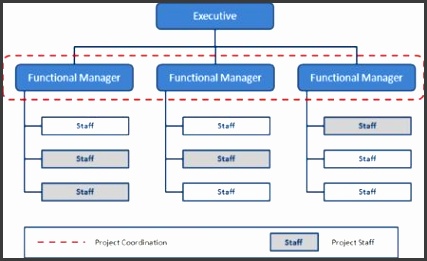 Functional Organizational Structure