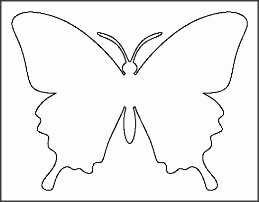 The 25 best Butterfly template ideas on Pinterest