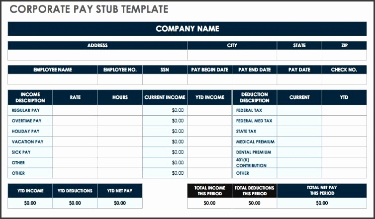 Corporate Pay Stub Template Excel