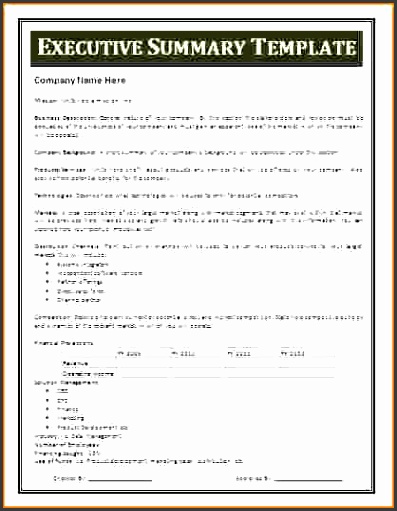 project summary templatemple executive summary template