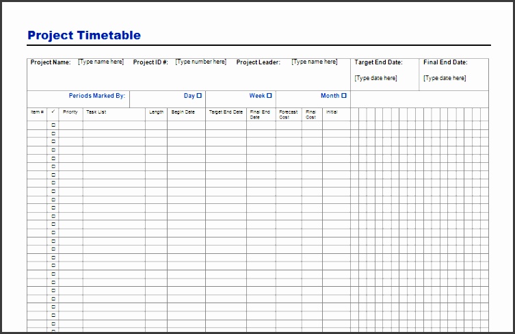 Project Timetable Template